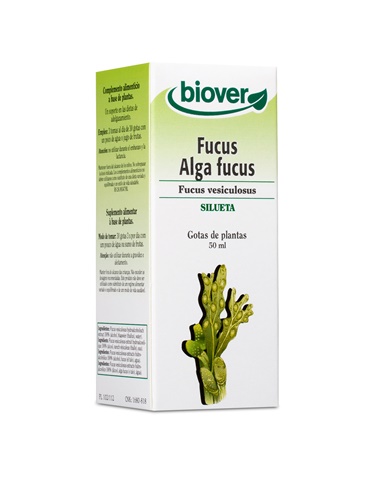 Alga fucus