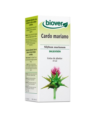 Cardo mariano