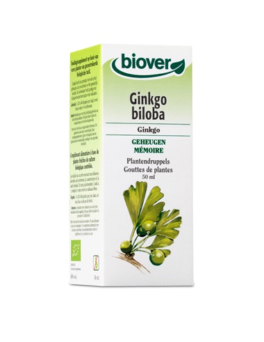 Ginkgo biloba
