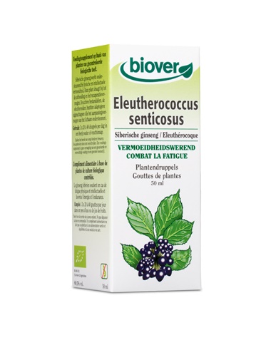 Eleutherococcus senticosus