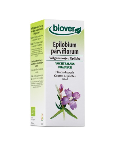 Epilobium parviflorum