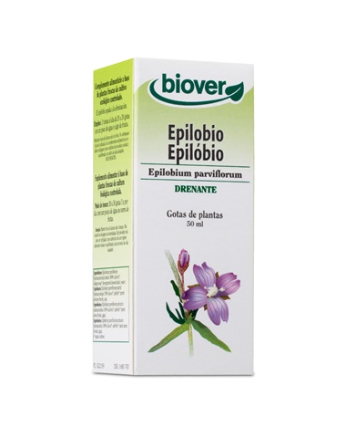 Epilobio