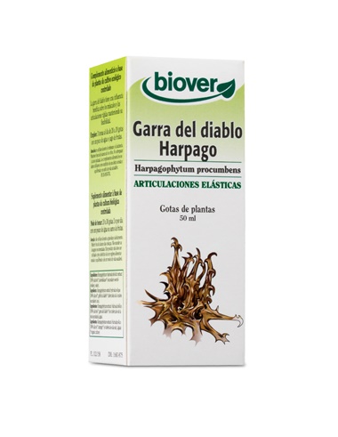 Garra del diablo