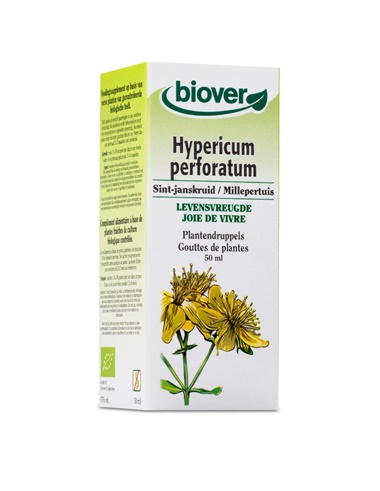 Hypericum perforatum