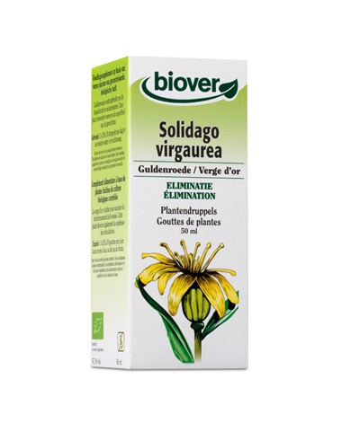Solidago virgaurea