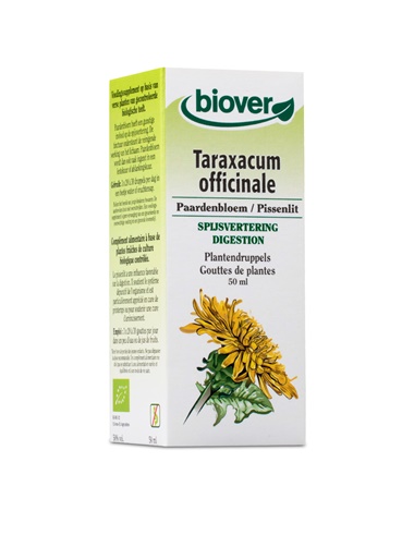 Taraxacum officinalis
