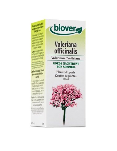 Valeriana officinalis