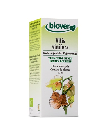 Vitis vinifera