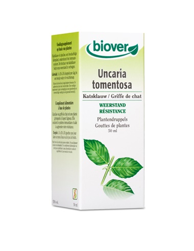 Uncaria tomentosa