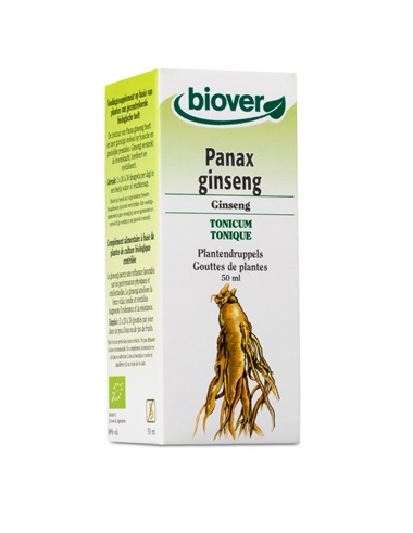 Panax ginseng