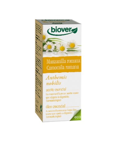 Camomila romana
