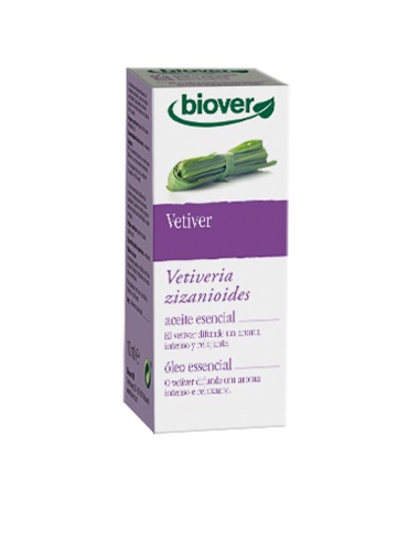 Vetiver